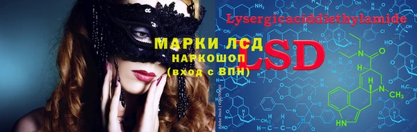 мдпв Бородино