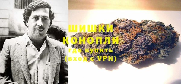 хмурый Богородск