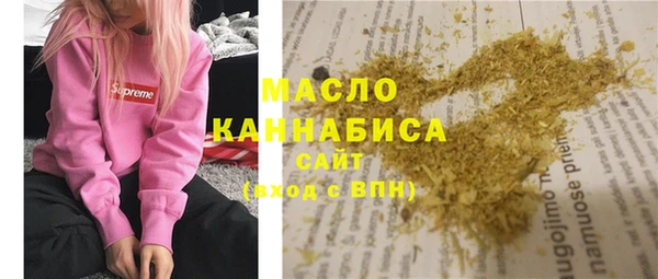 мдпв Бородино