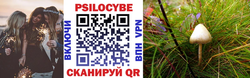 наркотики  Астрахань  Псилоцибиновые грибы Psilocybe 